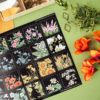 PACK BLOSSOM — изображение 3
