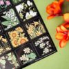 PACK BLOSSOM — изображение 5