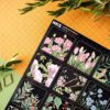 PACK BLOSSOM — изображение 7