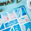 PACK SKY FISH — изображение 4