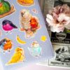 PACK BIRDIE — изображение 11