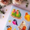 PACK BIRDIE — изображение 12