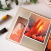 PACK GOLDEN HOUR — изображение 15