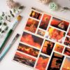 PACK GOLDEN HOUR — изображение 2