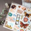 PACK PHOTOALBUM — изображение 2