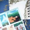 PACK END OF SUMMER — изображение 4