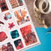 PACK EUROPEAN — изображение 5