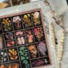 PACK POTPOURRI — изображение 3