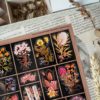 PACK POTPOURRI — изображение 4