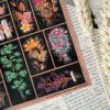 PACK POTPOURRI — изображение 5