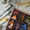 PACK POTPOURRI — изображение 7