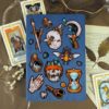 PACK COLLECTION — изображение 7