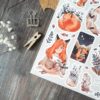 PACK FOX 21 — изображение 6