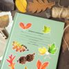 PACK LEAF FALL — изображение 14