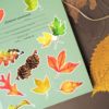 PACK LEAF FALL — изображение 15