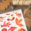 PACK LEAF FALL — изображение 4