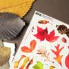 PACK LEAF FALL — изображение 7