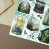 PACK GREENHOUSE — изображение 6