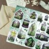 PACK GREENHOUSE — изображение 7