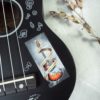 PACK GUITAR — изображение 10