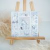 Q-PACK ANTIQUE WHITE
