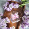 Q-PACK LILAC BUSH — изображение 2