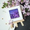 Q-PACK SILHOUETTE — изображение 2