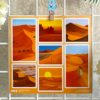 Q-PACK DESERT ROSE