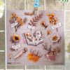 Q-PACK DRIED FLOWERS