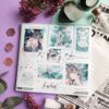Q-PACK SPRING BLOSSOM