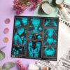 Q-PACK X-RAY