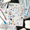 PACK MIX WHITE