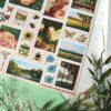 PACK SUNNY DAY — изображение 6