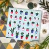 Q-PACK CACTUS