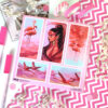 Q-PACK FLAMINGO