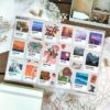 PACK SUMMER PANTONE