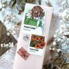 PACK SUMMER PANTONE — изображение 11