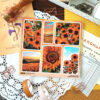 Q-PACK SUNFLOWERS