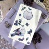 Q-PACK BLUEBERRY — изображение 2