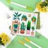 Q-PACK GREEN PLANTS