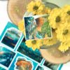 Q-PACK POND 2 — изображение 3