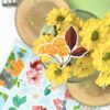 Q-PACK SPRING FLOWERS — изображение 3