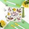Q-PACK SPRING SPARROWS