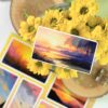Q-PACK WARM DAWN — изображение 3