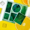 Q-PACK PALM TREE — изображение 3