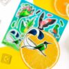 Q-PACK TROPICAL BIRDS — изображение 3
