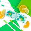 Q-PACK TURTLE — изображение 2
