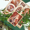 Q-PACK KINGS AND QUEENS — изображение 3