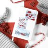 Q-PACK RED WINTER — изображение 2