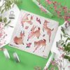 Q-PACK FAWNS
